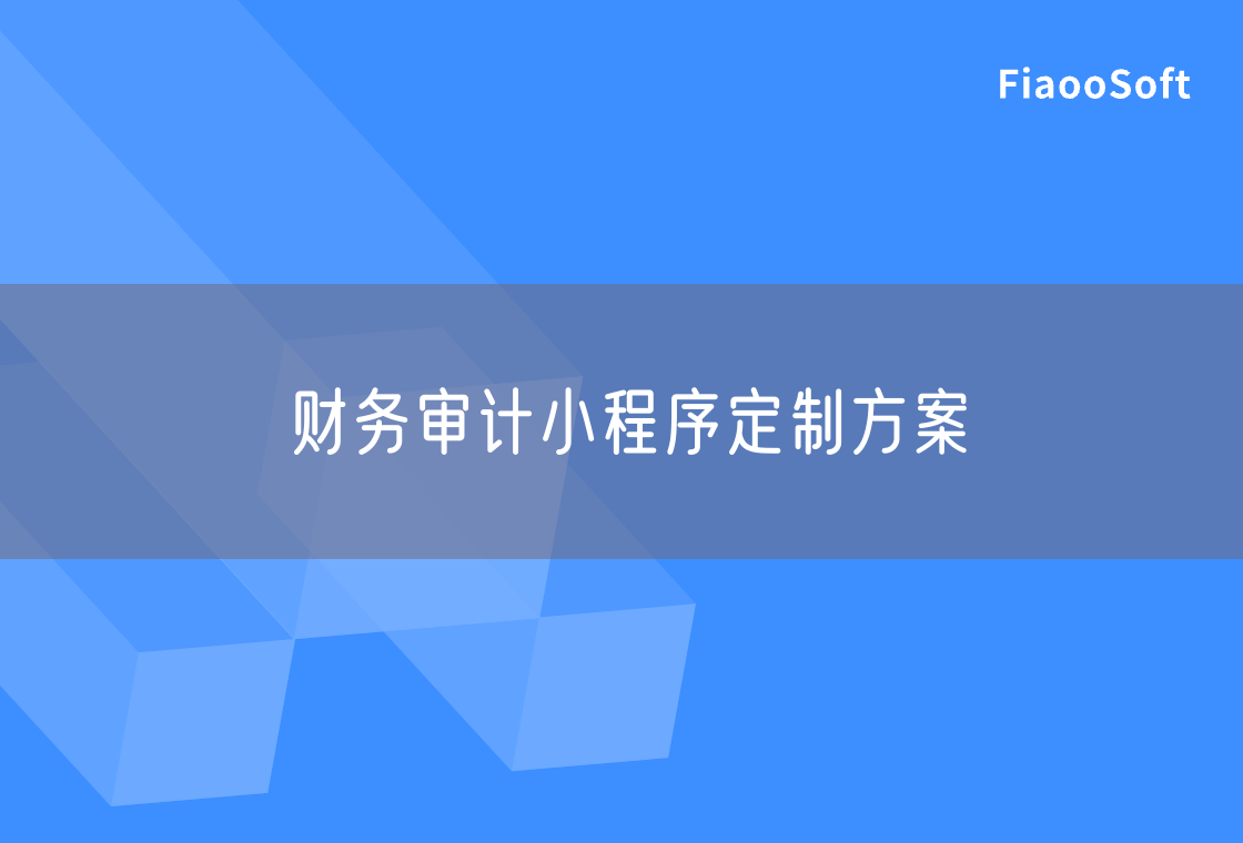 財務(wù)審計小程序定制方案